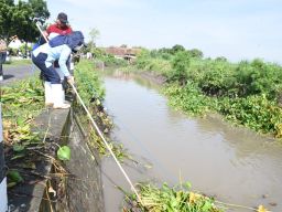 Antisipasi Banjir, ASN Pemkab Sidoarjo Disebar Bersih - Bersih Sungai di Prambon