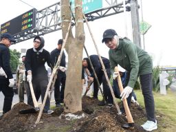 Gerakan Jihad Rawat Taman, Pemkab Sidoarjo Tanam Pohon Pule di Taman Gerbang Exit Tol Sidoarjo