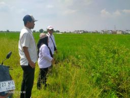 Rugikan 1.332 Kreditor, BHP Surabaya Kawal Proses Lelang Aset Pailit PT Indo Tata Graha