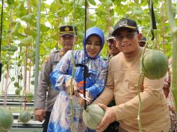 Manfaatkan Lahan Kosong, Wabup Sidoarjo Apresiasi Melon Hidroponik di Gempol Klutuk Tarik