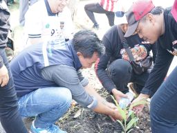 Jaga Kelestarian Lingkungan, Kecamatan Tulangan Kerjasama dengan DLHK Sidoarjo Tanam 8.000 Bibit Pohon