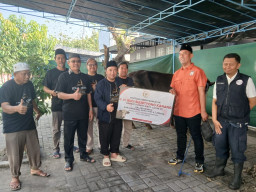 Anggota DPR RI Kanang Salurkan Ratusan Hewan Kurban di Dapil VII Jatim