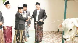 Idul Adha 1447 H, Bupati Sidoarjo Serahkan 1 Ekor Sapi 800 Kilogram untuk Masjid Agung dan Sapi Presiden ke Jabon