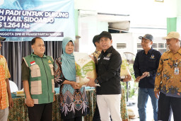 Baca juga : Sokong 1.264 Hektare Lahan Pertanian, NasDem Sidoarjo Guyur 31,6 Ton Benih Padi ke 50 Poktan di Kota Delta