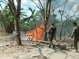 Ratakan Belasan Gubuk Prostitusi Liar, Satpol PP Sidoarjo Bakar Lokalisasi Krengseng Krian