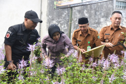 Baca juga : Dari Lahan Tidur dan Niat Tulus Prajurit TNI, Teh Kumis Kucing Wonokupang Balongbendo Curi Perhatian Wabup Sidoarjo