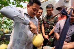 Baca juga : Manisnya Melon Premium Candinegoro, Inovasi BUMDes Sidoarjo Sulap Greenhouse Jadi Wisata Edukasi Cuan