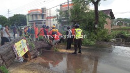 Niat Berteduh, Motor Warga Ponorogo Malah Tertimpa Pohon Tumbang