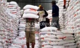 Stok Beras di Ponorogo Aman hingga Musim Panen