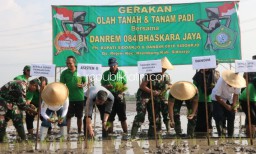 Demi Swasembada Pangan, Danrem 084 Bhaskara Jaya dan Forkopimda Sidoarjo Galakkan Olah Tanah dan Padi