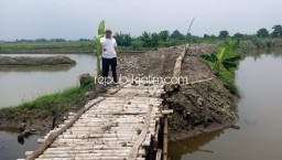 Tak Tersentuh Bantuan Pembangunan, Jembatan Bambu Topang Perekonomian Warga Kedungpandan