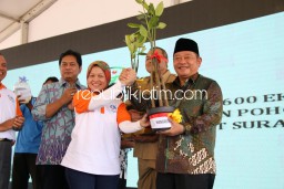 Sidoarjo Terima Bantuan 1.000 Bibit Bakau Dari Kementerian Kelautan