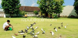 Hobi Pelihara Burung Merpati, Bupati Ponorogo Memiliki 500 Ekor di Pringgitan