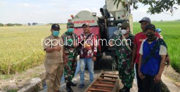 Demi Swasembada Pangan, Kodim Sidoarjo Siapkan Pilot Projek Tanaman Padi Seluas 2,1 Hektar di Rejeni Krembung