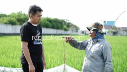 Perhatikan Keluhan Petani, Mas Iin Minta Keringanan Pajak untuk Sawah Produktif