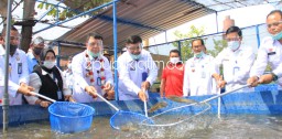 Panen Lele di Lapas Porong, Dirjenpas Berharap Seluruh Lapas Bisa Mandiri