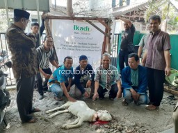 IKADI Sidoarjo Melatih Puluhan Penyembelihan Hewan Kurban