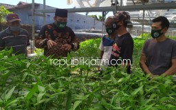 BHS Dorong Pengembangan Pertanian Hidroponik, Targetkan Tambah RTH Sidoarjo 30 Persen