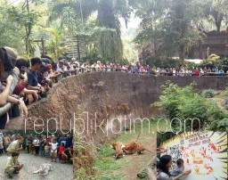 Peringatan Hari Harimau, Ini Yang Dikampanyekan Taman Safari Prigen