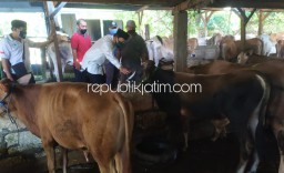 Minimalisir Permainan Tengkulak Sapi, BHS Siap Jadikan Sidoarjo Berswasembada Daging