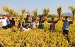 Suburkan Tanah Manfaatkan Bahan-Bahan Dari Alam Lewat Teknologi POH