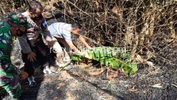 Nenek 78 Tahun di Ponorogo Tewas Terpanggang Bersamaan Sampah yang Dibakar