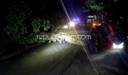 Pohon Tumbang Besar Tutup JL Raya Surabaya-Mojokerto, Pengguna Jalan Dialihkan Jalur Tol Sumo
