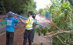 Hujan Deras Pohon Tumbang Tutup Akses Jalan Dan Menimpa 3 Tiang PJU