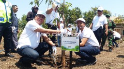 Hari Lingkungan Hidup 2019, HCML Tanam 15.000 Manggrove dan Mangga