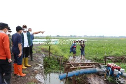 Keliling Tiga Desa Langganan Banjir di Tanggulangin, Bupati Sidoarjo Kebut Bangun 6 Kisdam Penahan Air