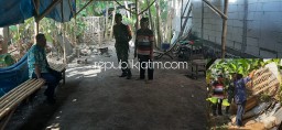 Polisi Bongkar Arena Sabung Ayam di Karangbong Gedangan