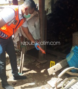 Diduga Dianiaya, Bayi Baru Lahir Ditemukan Tewas Dikandang Ayam