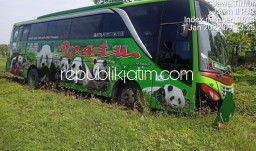 Maksa Mendahului Lewat Bahu Kiri, Bus Restu Jurusan Malang - Surabaya Nyungsep di Tol Sidoarjo