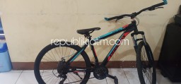 Tiga Pemuda Gondol Sepeda Onthel di Perum Mandiri Residence Krian, Satu Diproses 2 Diselesaikan Kekeluargaan