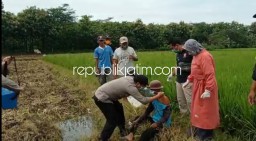 Vaksinasi Di Pulung Ponorogo Unik, Petani Disuntik Vaksin Covid-19 Di Area Persawahan