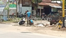 Dinas PU Akhirnya Menambal Jalan Berlubang di Tengah Perempatan Bancar Ponorogo