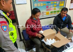 Ditaruh Dua Kurir, Warga Temukan Paket Misterius Berisi 70.000 Butir Pil Koplo di Kebun Pisang Tempel Krian