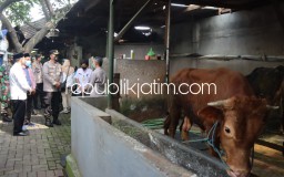 Cegah Wabah PMK Agar Tidak Meluas, Kapolresta Sidoarjo Cek Kandang Peternak Sapi di Taman