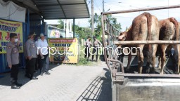 Antisipasi Penyebaran PMK, Polisi Masifkan Pos Penyekatan Hewan Ternak di Batas Kota Sidoarjo