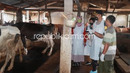 Jelang Idul Adha, Polisi Antisipasi Penyebaran PMK Larang Penjualan dan Pembelian Sapi dari Luar Sidoarjo