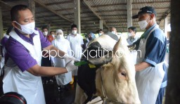 Bupati Sidoarjo dan Gubernur Jatim Pastikan Sapi Kurban di Sidoarjo Bakal Divaksin PMK Sebelum Idul Adha