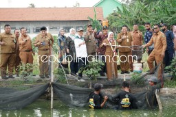 Dukung Program Ketahanan Pangan, Istri Wabup Sidoarjo Panen Nila di Kolam Budidaya Pemdes Medaeng Waru