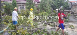 BPBD Sidoarjo Pastikan Amukan Angin Kencang di Suko Sidoarjo Tidak Ada Korban Jiwa