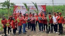 Tanam 1.000 Pohon Kelapa dan Mangga, Kado HUT PDI Perjuangan Dan Megawati dari Kader Sidoarjo