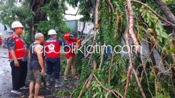 Call Center 112 Sidoarjo dan TRC BPBD Siaga 24 Jam Panggilan Darurat Evakuasi Pohon Tumbang