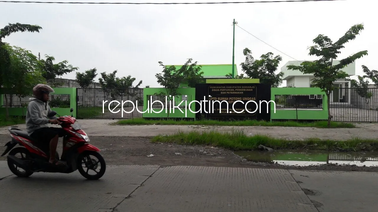 Pasok Daging Premium, DP3 Bakal Bangun RPH Modern