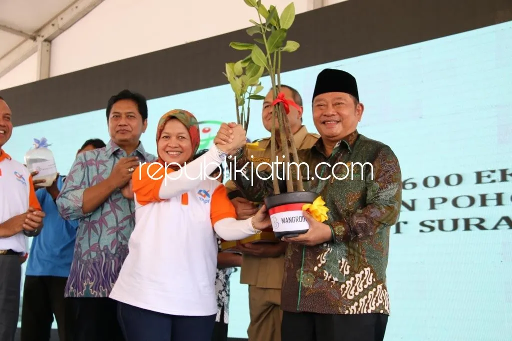 Sidoarjo Terima Bantuan 1.000 Bibit Bakau Dari Kementerian Kelautan