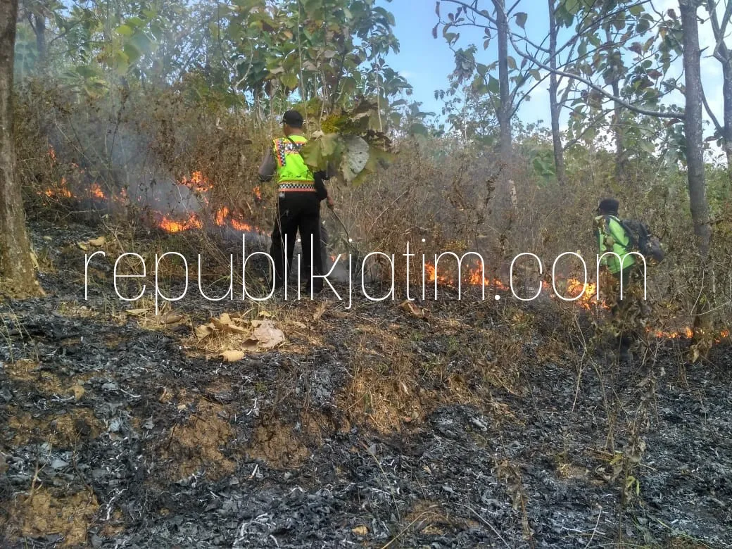 Hutan Jati KPH Madiun di Ponorogo Ludes Terbakar