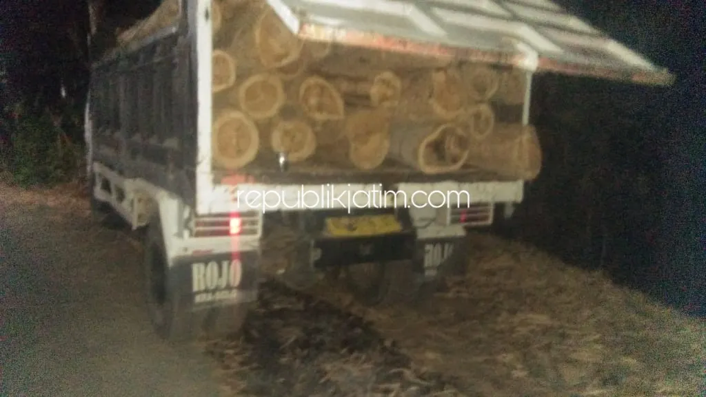 Polsek Bungkal Ringkus Penebang Kayu Jati 89 Batang dan 11 Batang Akasia