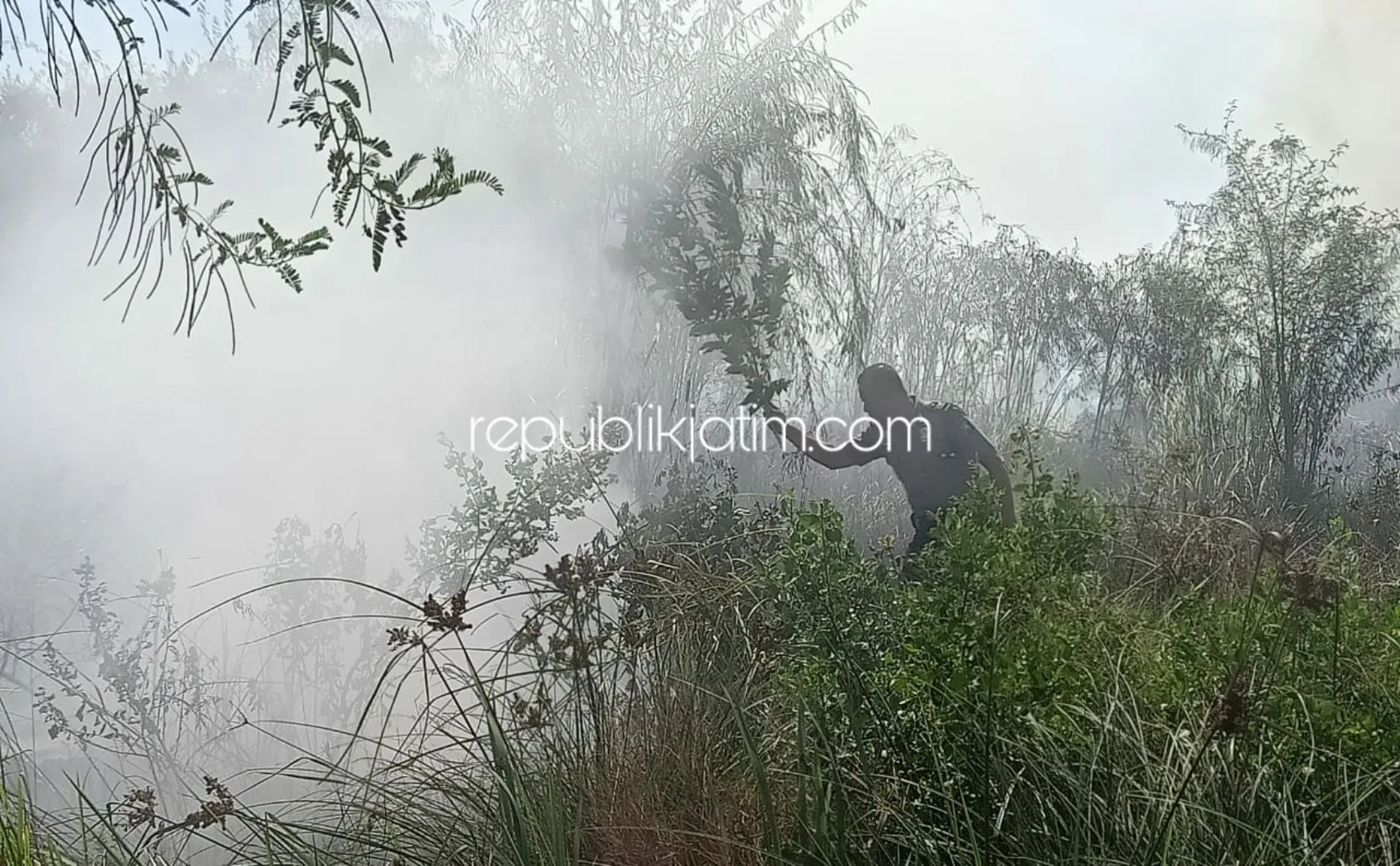 Ilalang Terbakar, Nyaris Merembet ke Rumah Warga Dan Pabrik